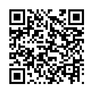 自然比不过暴龙公子的中级圣品血脉二维码生成