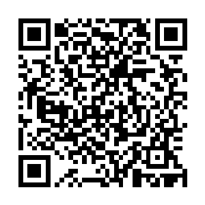 自然看出眼前这名元婴修士似乎要出手一件见不得光的东西二维码生成