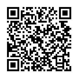 自然看得出来杨巡抚和汪太监之间思路有所不同二维码生成