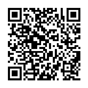 自然神系还会派出一些穿着强大神器的超级战士二维码生成