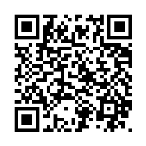 自然能够感受到这种待遇上面的差别二维码生成