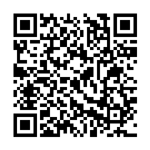 自然能够理解华夏九能够拥有一颗赤子之心的原因二维码生成