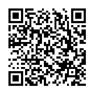 自然要比单一属性为木的曹温书更适合用这五行针二维码生成