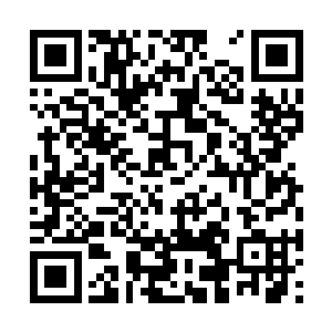 自爆后的麻醉子弹会散发出极为强烈的麻醉气体来二维码生成