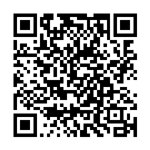 自血池之中渐渐有着一个巨大无比的阴影出现在了人们视野之中二维码生成