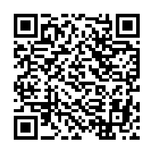 自认为抓到猛料的狗仔记者们哪里会轻易放过他们二维码生成