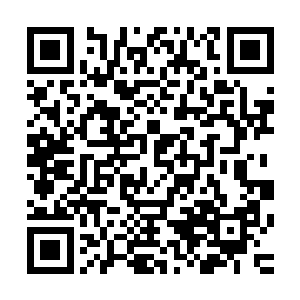 至于之前他们猜测的有不明身份的武装分子潜入八公山的事情二维码生成
