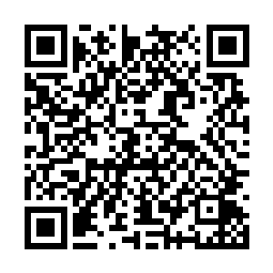 至于他们的发声是否真的会各国政府首脑造成压力二维码生成