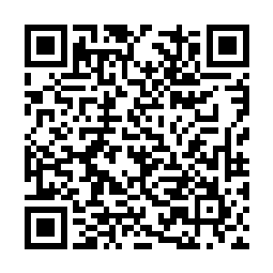 至于其他人尊期和地尊期的辉煌一族就更不用说了二维码生成