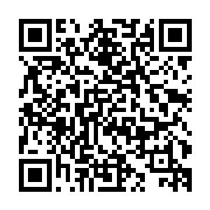 至于其他人更是一副等我接回骆樱神的样子这可就让我尴尬了二维码生成