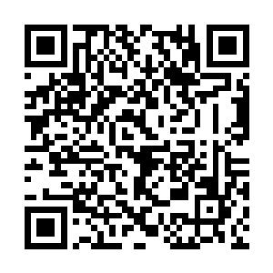 至于其他被她吆喝来当炮灰的小妖则大多死于乱战二维码生成