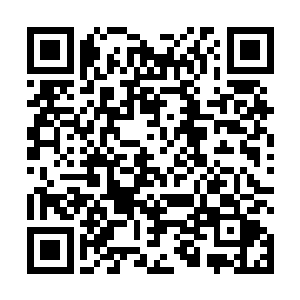 至于南方城主府和那些大家族的想法和他们有什么关系二维码生成