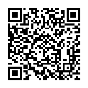 至于土灵珠是你们的东西我也是在土灵珠抹除禁制的时候才知道二维码生成
