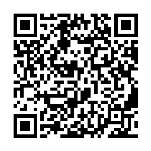 至于圣焰太皇拳和莲花爆碎拳等继承得来的圣域绝学二维码生成