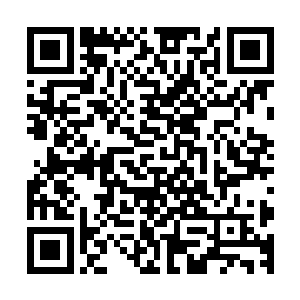 至于孤三通一行人正打算将辛巴的肉身收下当做战利品的时候二维码生成