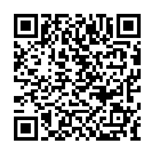 至于守护者为什么在人镇关上古遗迹中没有出现二维码生成