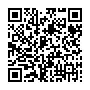 至于将体内的修为之力全部转化为仙界这边的能量二维码生成