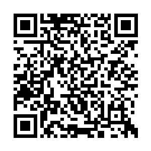 至于应该负责教导女儿基本战场知识的凌霄大将二维码生成