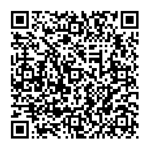 至于怎么从当下国内这些制片水平参差不齐的众多电影之中选择出能拿到高票房的电影进行发行和上映二维码生成