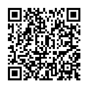 至于我们五族其他九个圣级修士根本不够燕山魂虐的二维码生成