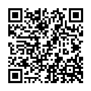 至于报酬……我会每年拿出一瓶六品丹药给你们二维码生成