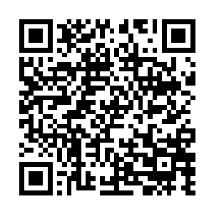 至于杀人越货这种事……咳咳……他就是有那个胆儿二维码生成