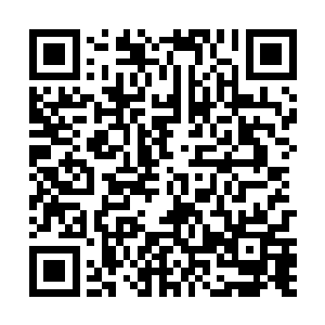 至于梵天灵王为什么燃烧精血或者施展有后遗症的秘法二维码生成