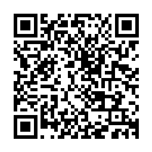 至于流道友和梅道友之前购得的新血苗子可以先寄存在二号岛上二维码生成