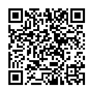 至于能不能帮他们困住金鲤兽就不是他们说了算的了二维码生成