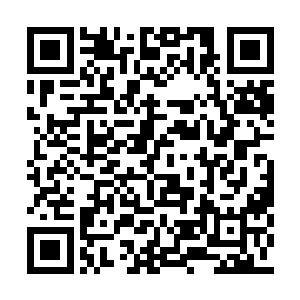 至于落落手里的那个……跟这四把入门钥匙无关二维码生成