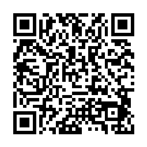 至于这么心疼嘛……难道那银行里的一串串数字二维码生成