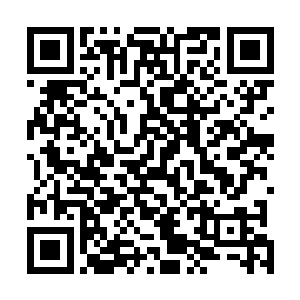 至于这些律师是怎么把这个数字精确到小数点后面两位的二维码生成