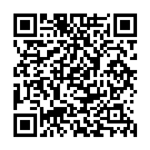 至于那个所谓的破仙遗迹的地图龙傲天倒是没有太过于在意二维码生成