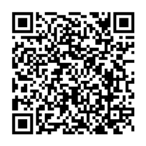 至于那些坐镇山门的闭关中的大乘期老怪物们在修炼室中也不用出来了二维码生成