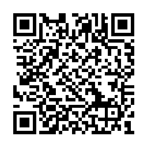 至于高阶玉仙的康真人为什么会对天仙俯首帖耳二维码生成