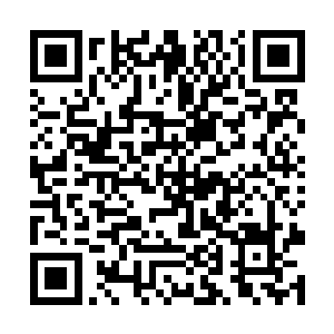 至于魔兽们……天音谷的魔兽被苏落教训的满地乱窜二维码生成