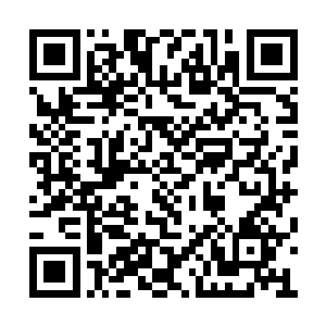 至于龙麟看了一眼顿时便没在犹豫直接才动油门二维码生成