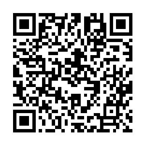 至今都没有哪个仙人用规则内的手段闯过的一百零八景哦~二维码生成