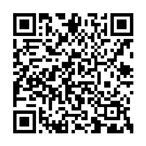 至少不会因为担心自己而让秦风的事出什么纰漏二维码生成