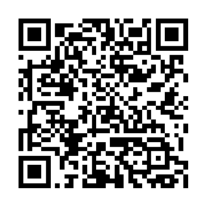 至少也要是飞星界其余一百二十二所大学的教授二维码生成