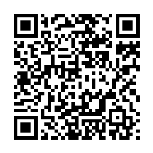 至少他的攻击速度比不少人元尊凝煞的武道之人都要快二维码生成