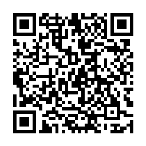 至少以后也不会再有自己跑去天道仙域这类事出来了二维码生成