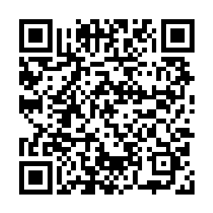 至少南方巫师联盟已经公开禁止精灵奴隶贸易了二维码生成