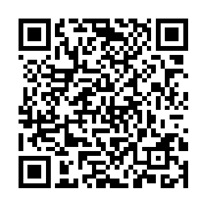 至少原主在怀孕生产和哺乳期间没有给原主任何难堪二维码生成