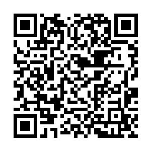 至少在前三层仙界的人进去之后根本就没有获得神器二维码生成