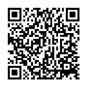 至少在增加孤儿院收入这方面可能只有微乎其微的作用二维码生成