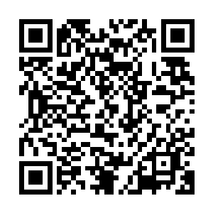 至少在定王府查清楚苍茫山底细之前确实是不能对她太过强硬了二维码生成