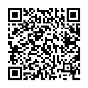 至少在涉及有道集团的事务中会拥有相当的参与权和发言权二维码生成