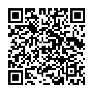 至少妮娜就会因为这样的眼神而给人的外观值加分二维码生成