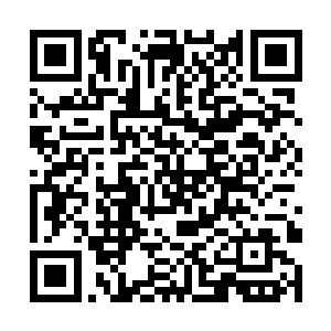 至少有四个隐藏在暗中的人在关注着他和大师兄二人二维码生成